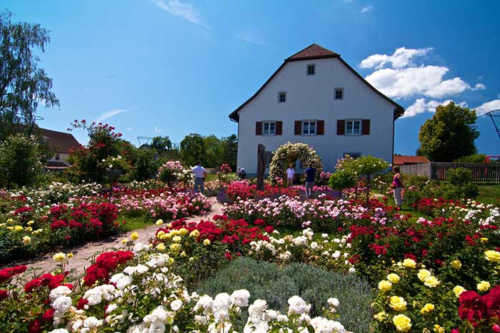 Tourist-Info Weilheim-Nöggenschwiel